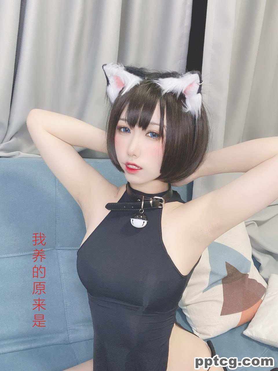 芋圆侑子  艹猫  兽耳