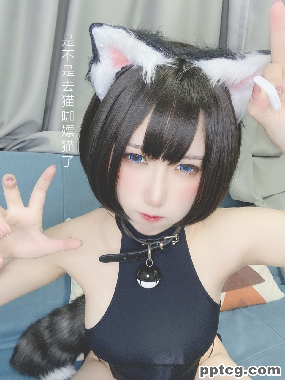 芋圆侑子  艹猫  兽耳