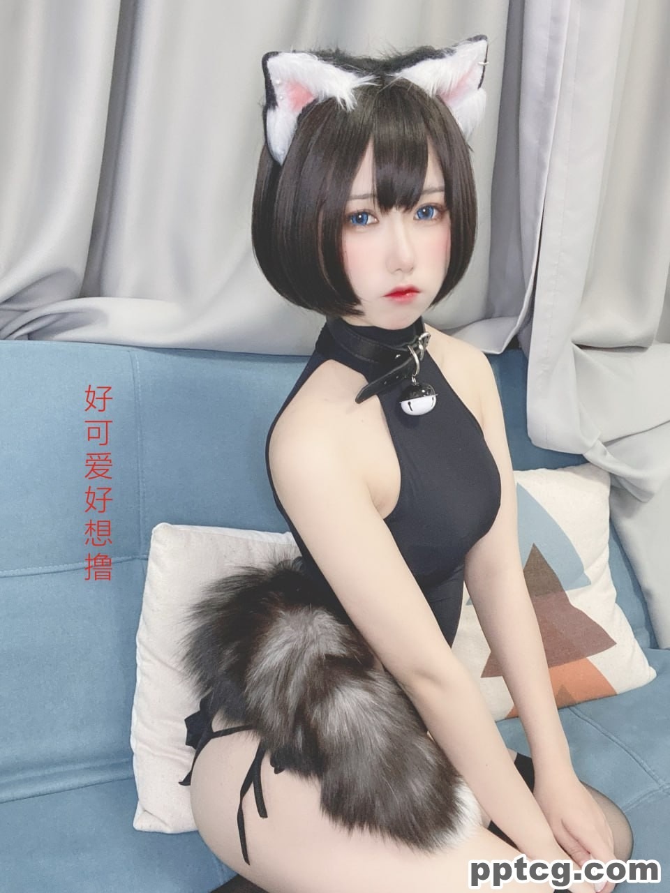 芋圆侑子  艹猫  兽耳