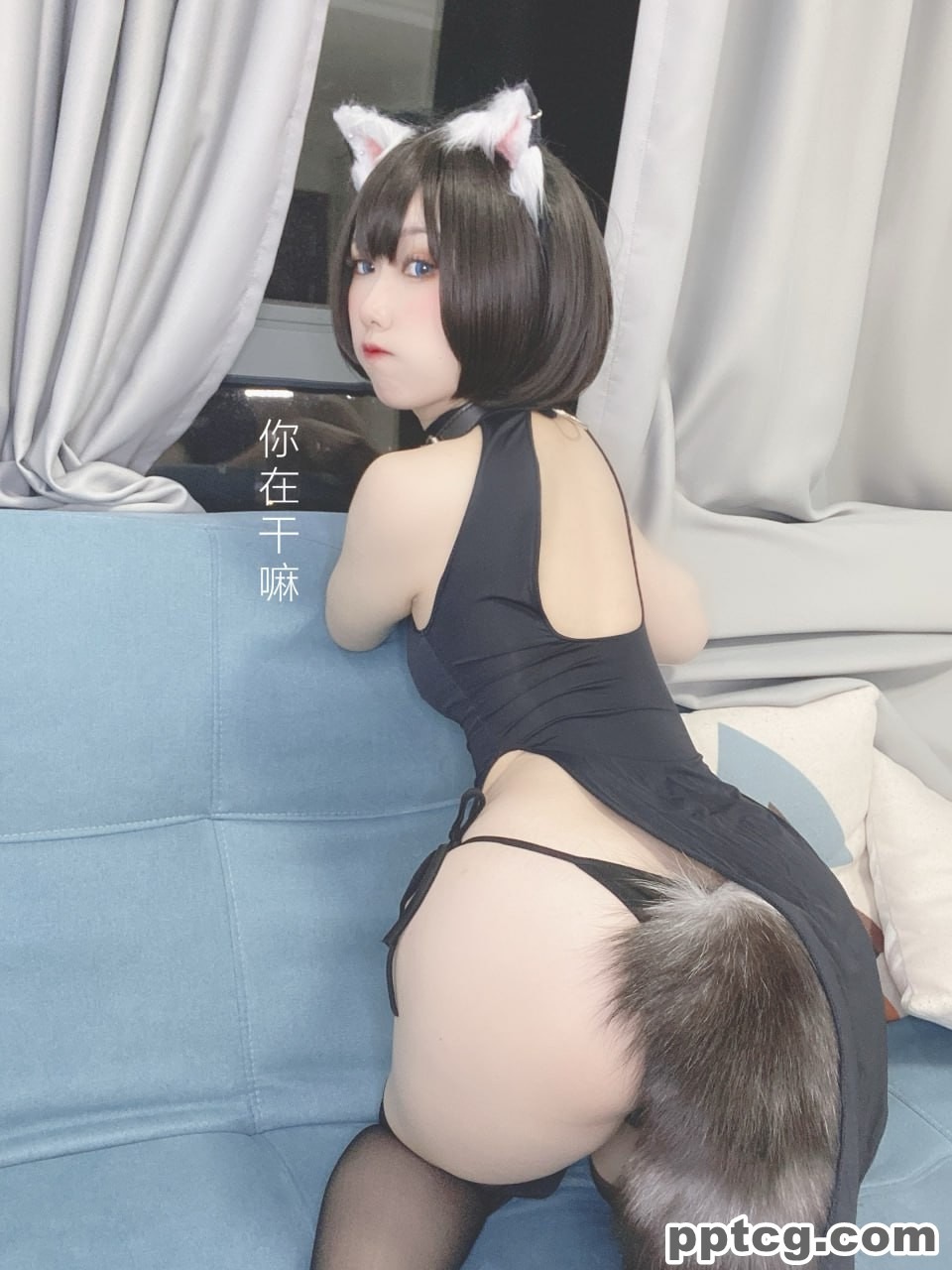 芋圆侑子  艹猫  兽耳