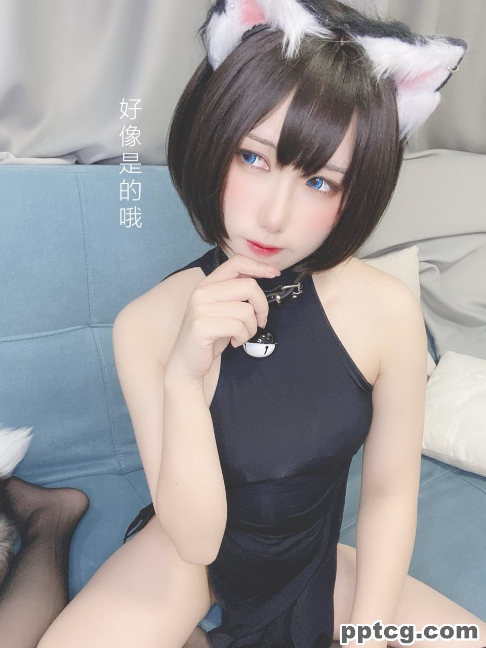 芋圆侑子  艹猫  兽耳