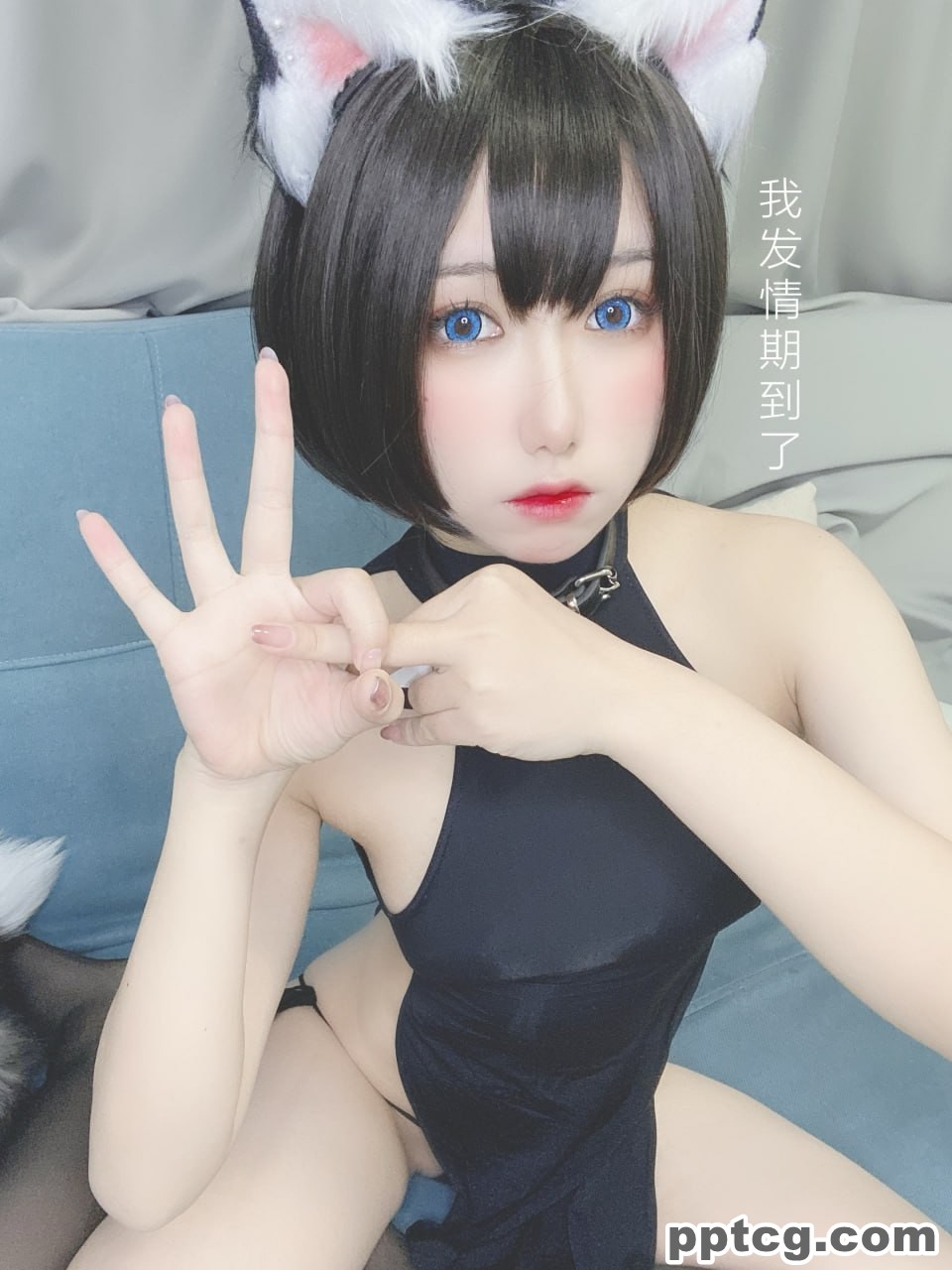 芋圆侑子  艹猫  兽耳