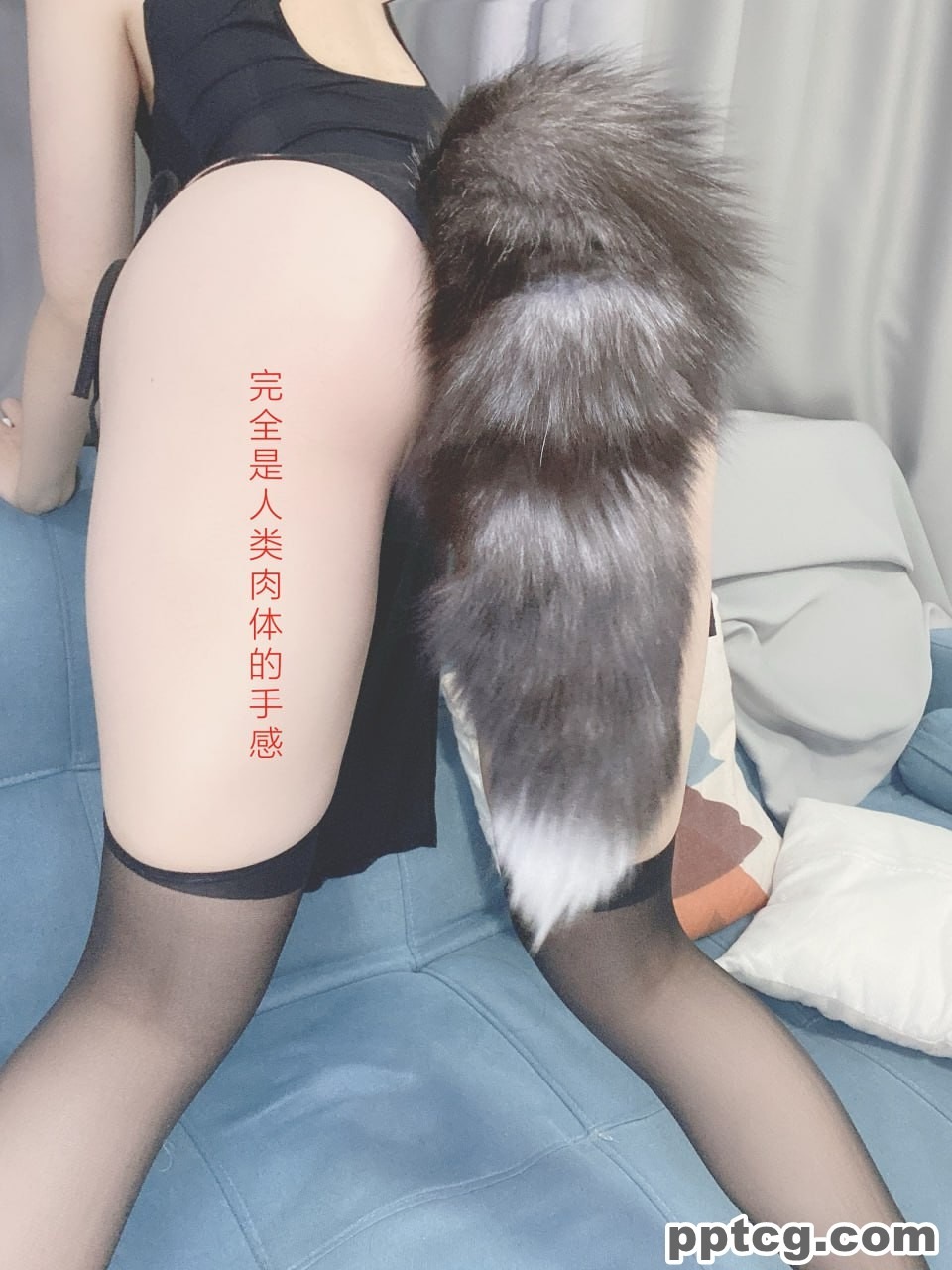 芋圆侑子  艹猫  兽耳