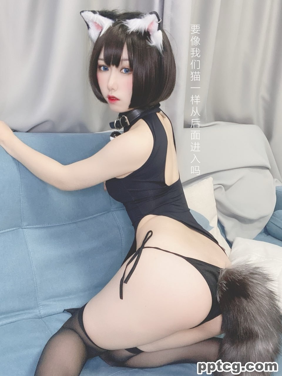 芋圆侑子  艹猫  兽耳