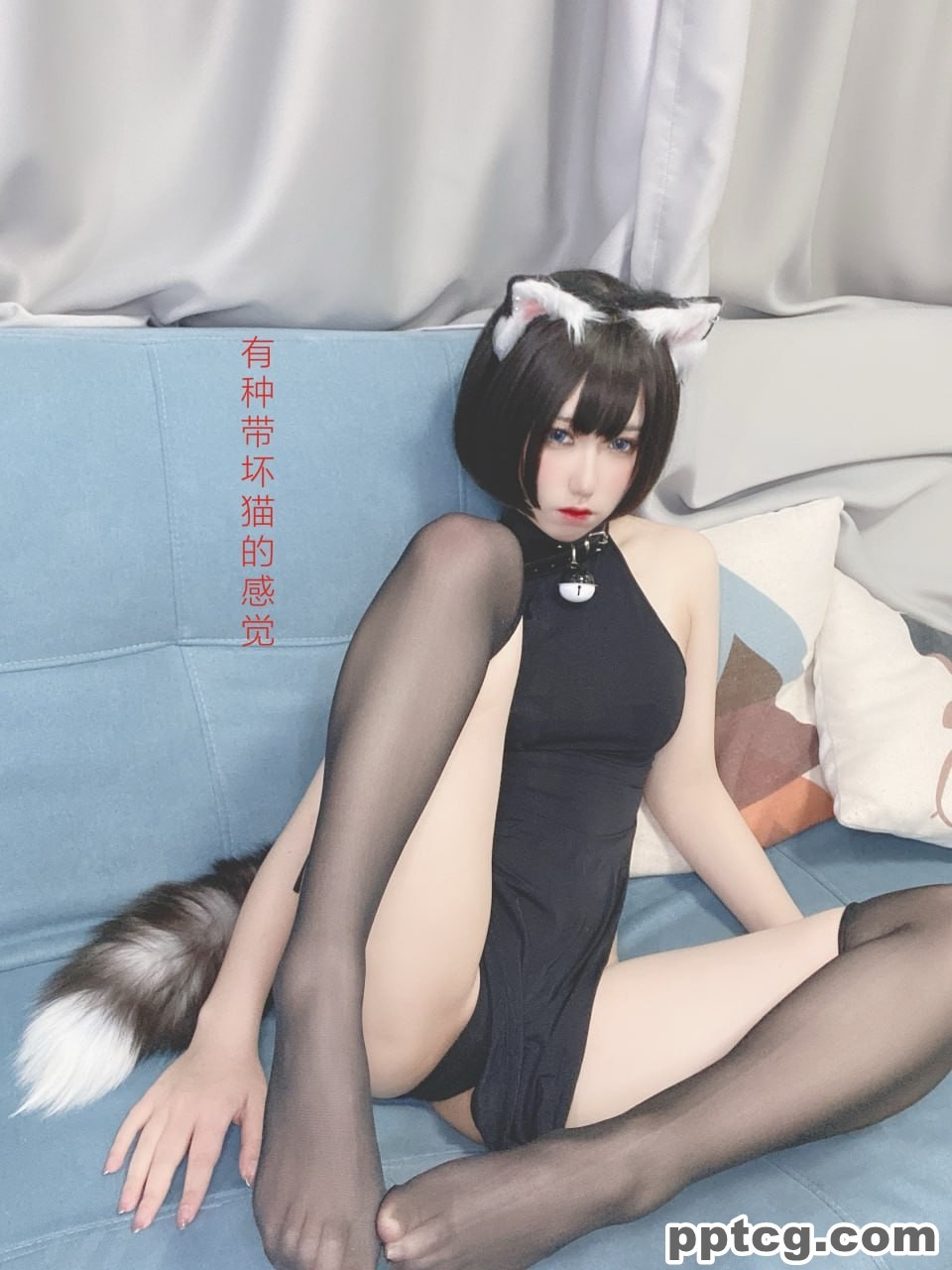 芋圆侑子  艹猫  兽耳