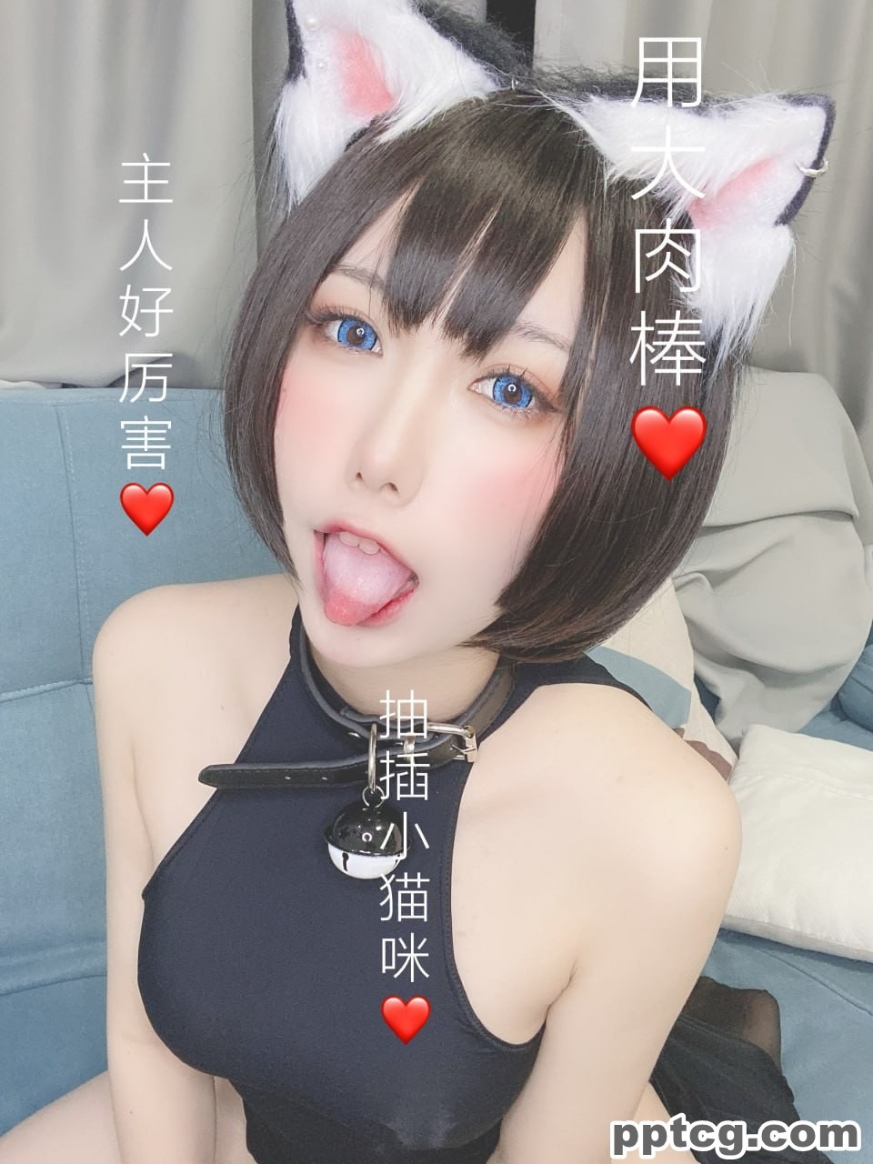 芋圆侑子  艹猫  兽耳