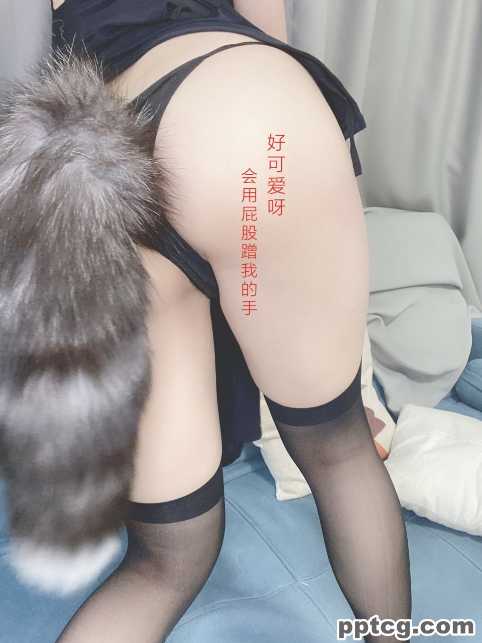 芋圆侑子  艹猫  兽耳