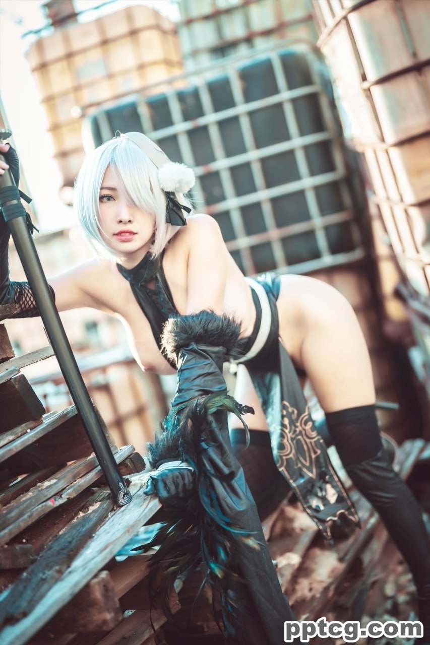 慕慕 Momo 尼尔 机械纪元 2B