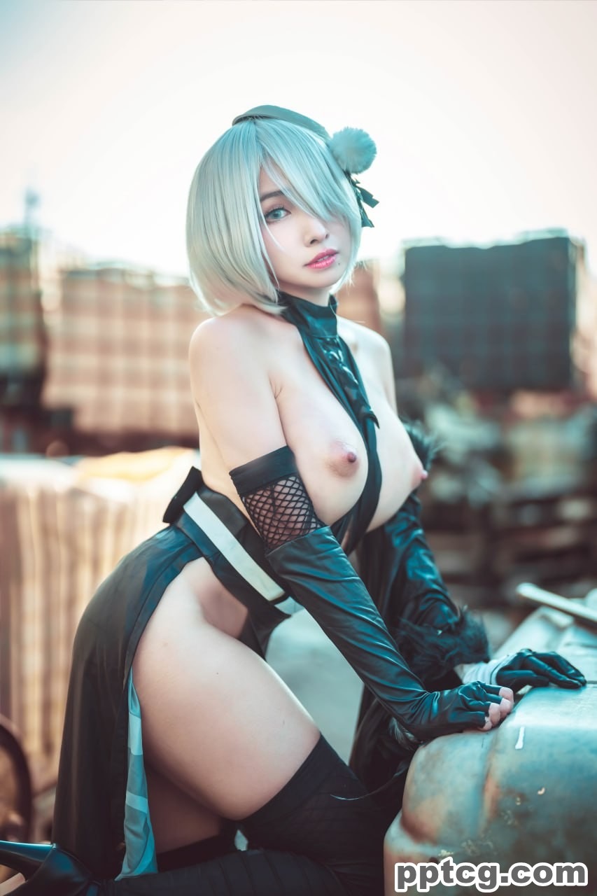 慕慕 Momo 尼尔 机械纪元 2B
