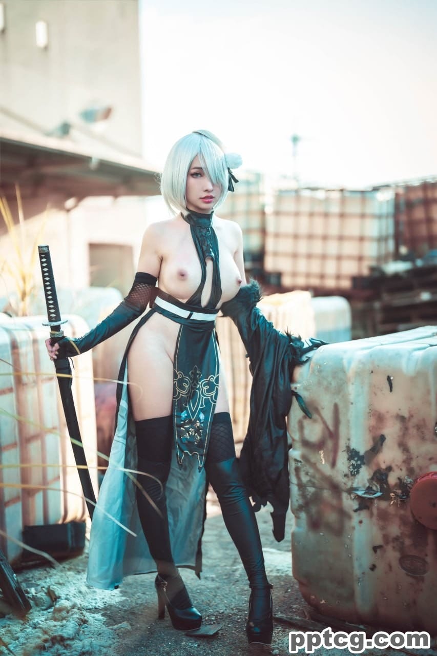 慕慕 Momo 尼尔 机械纪元 2B