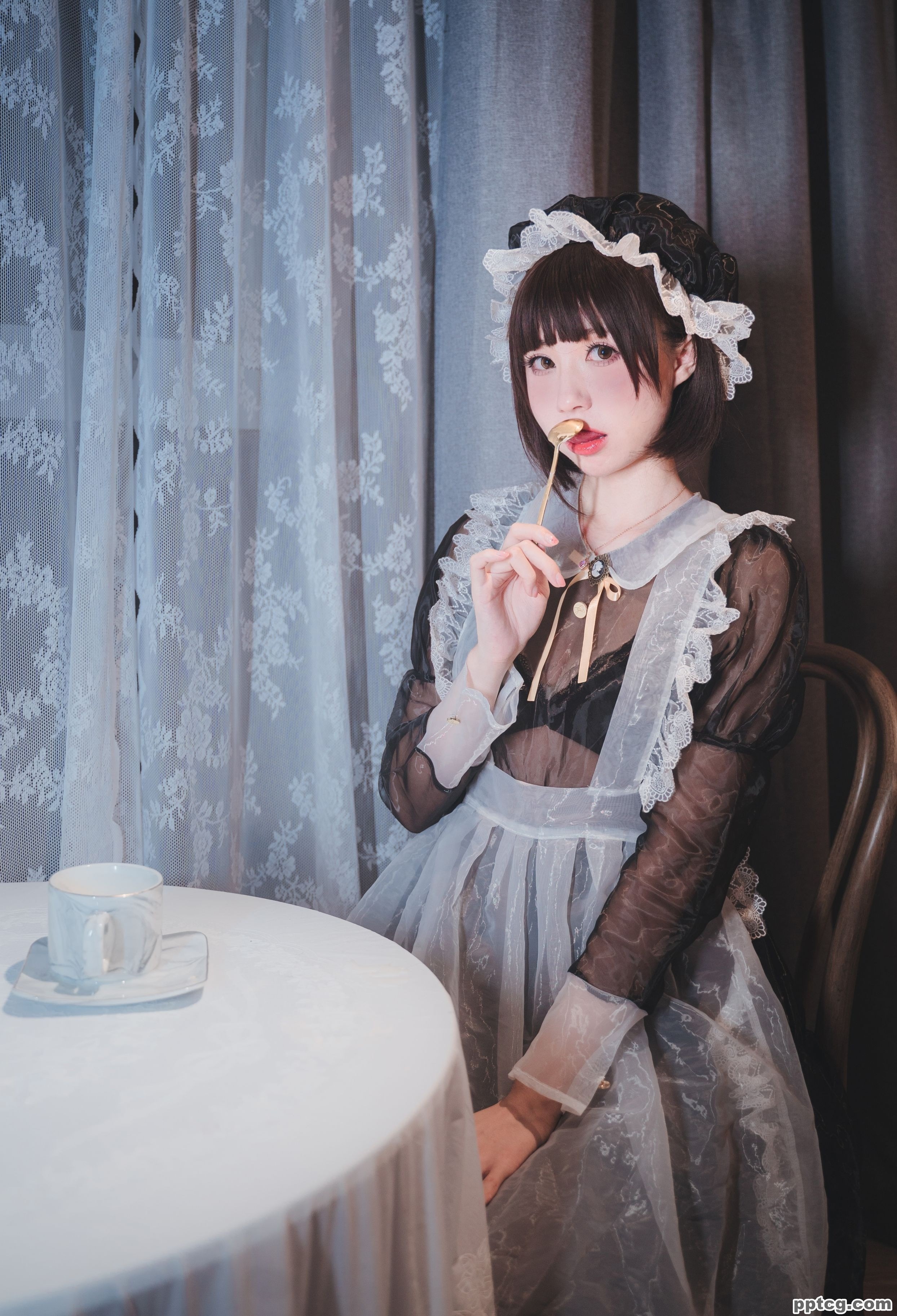 西园寺南歌  透明女仆