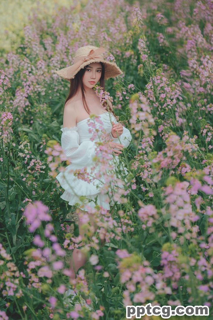 年年   花野