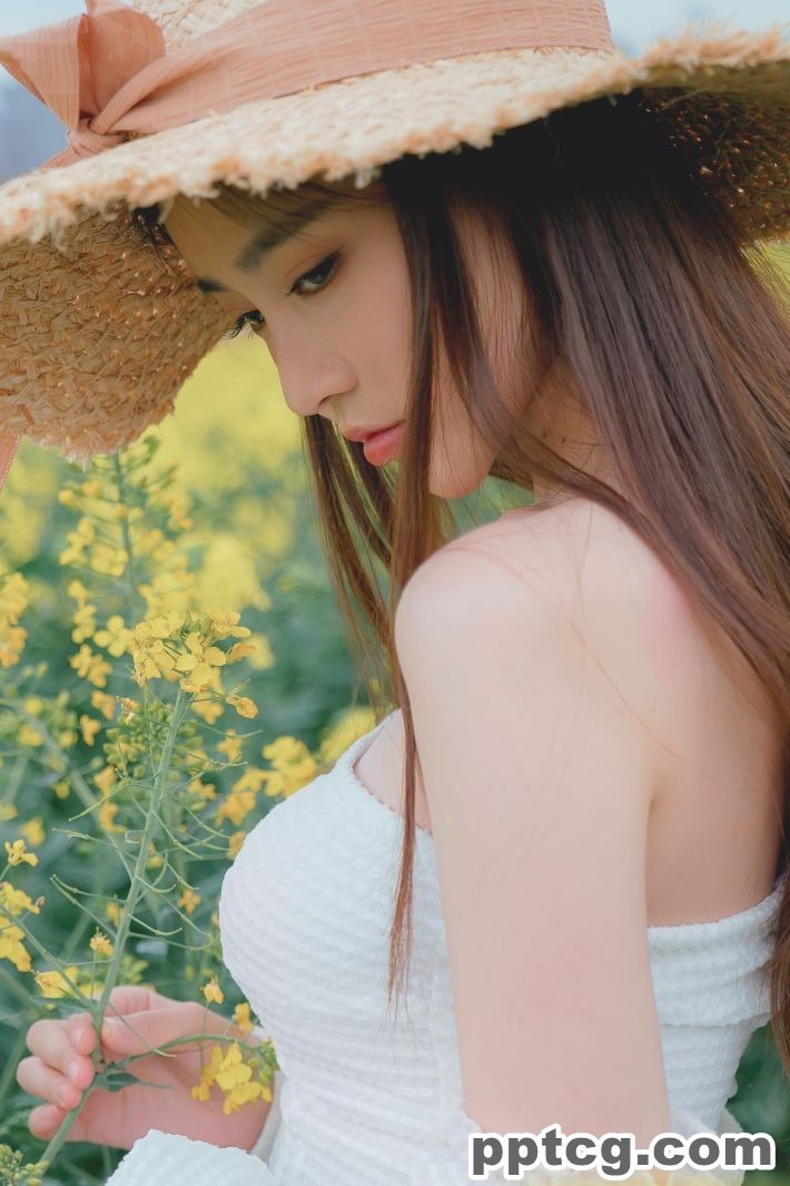 年年   花野