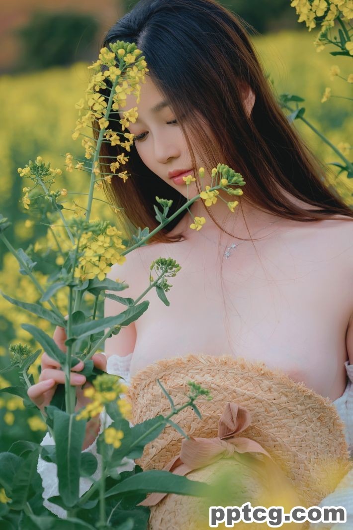 年年   花野
