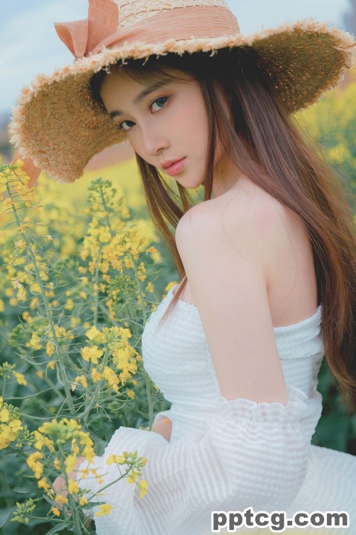 年年   花野