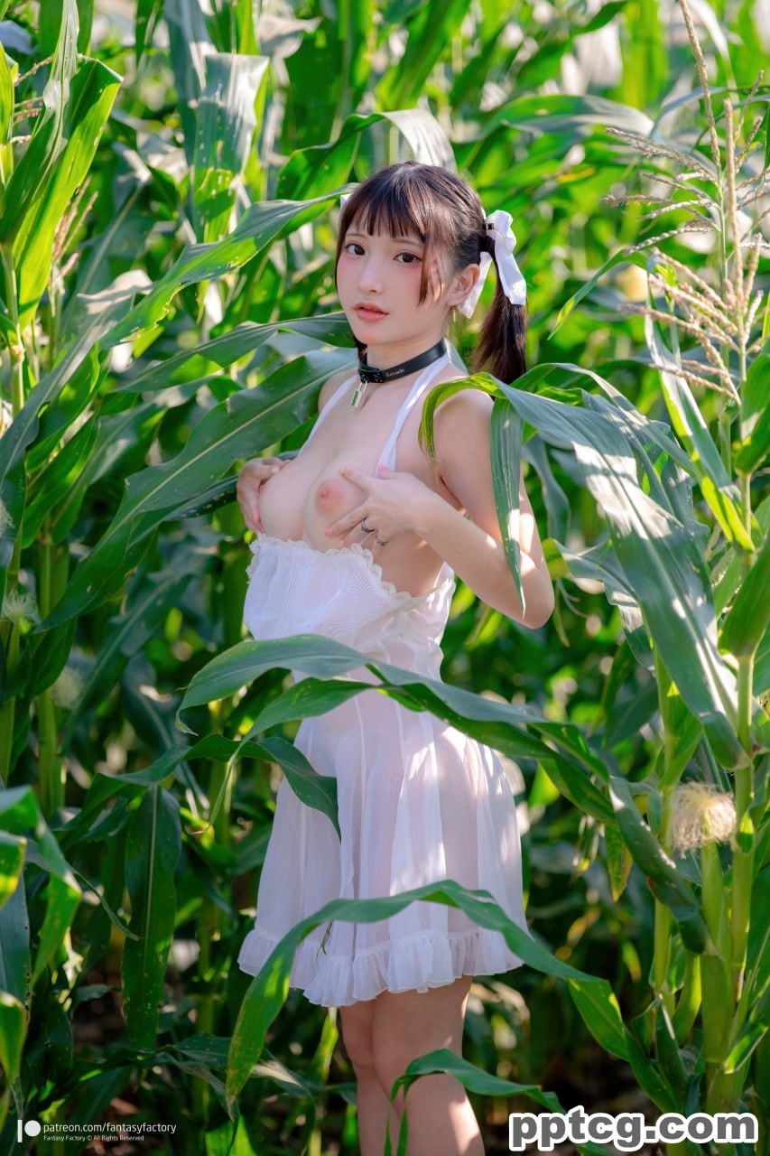 小丁  野外