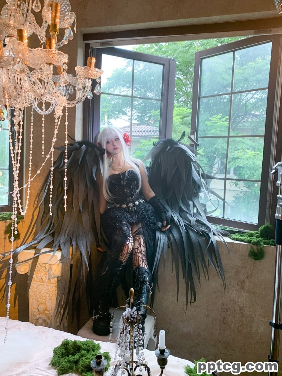 蠢沫沫  黑天鹅