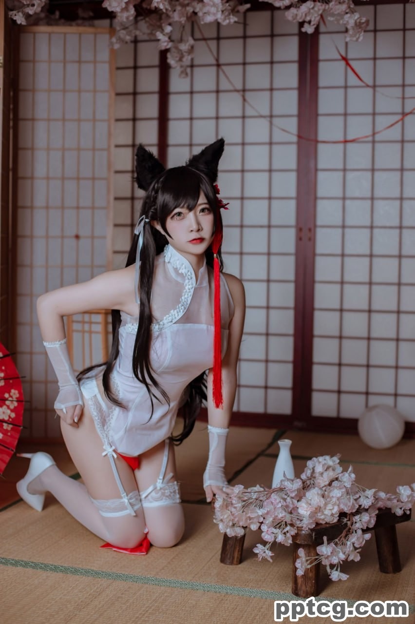 二佐Nisa   犬之眷 碧蓝航线 爱宕 旗袍