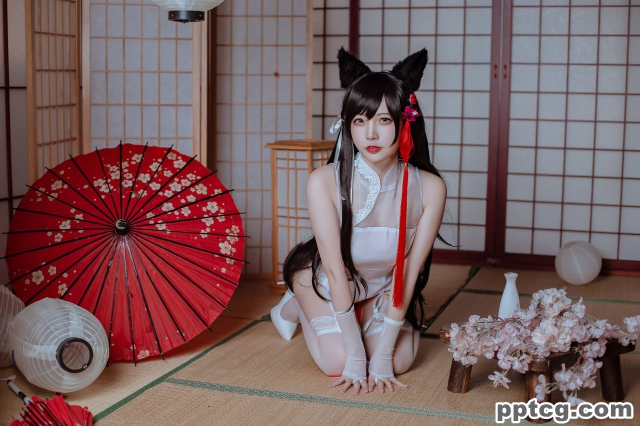 二佐Nisa   犬之眷 碧蓝航线 爱宕 旗袍