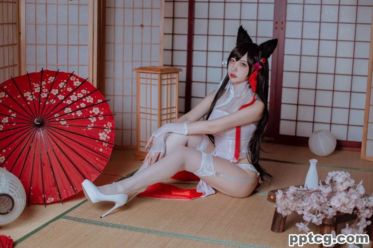 二佐Nisa   犬之眷 碧蓝航线 爱宕 旗袍