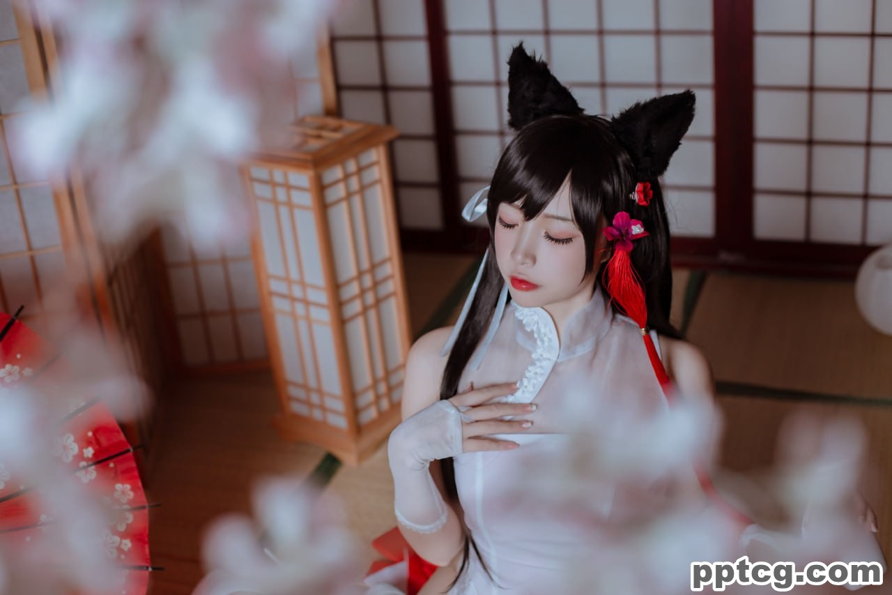 二佐Nisa   犬之眷 碧蓝航线 爱宕 旗袍