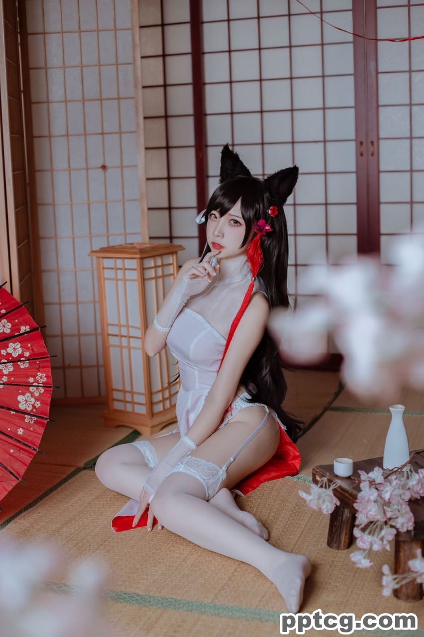 二佐Nisa   犬之眷 碧蓝航线 爱宕 旗袍