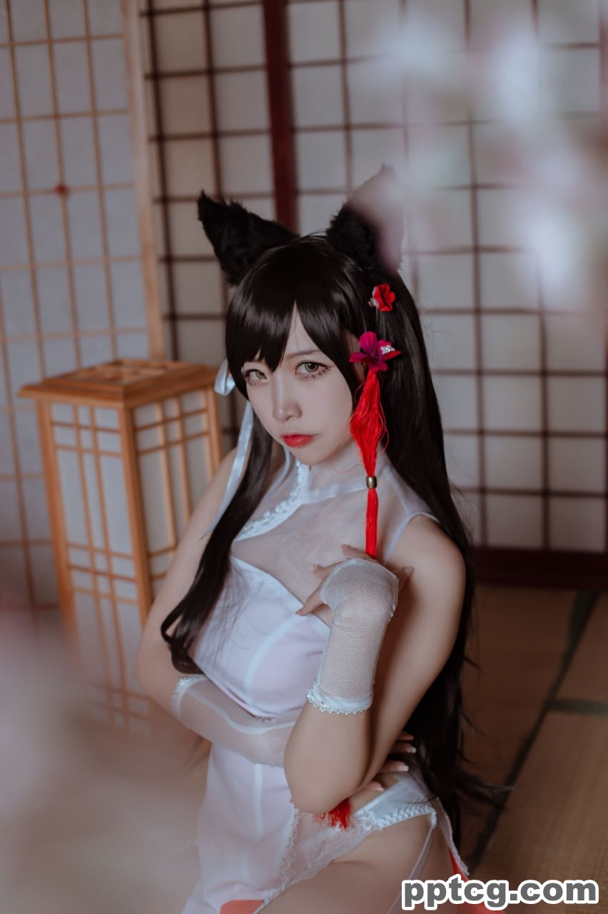 二佐Nisa   犬之眷 碧蓝航线 爱宕 旗袍