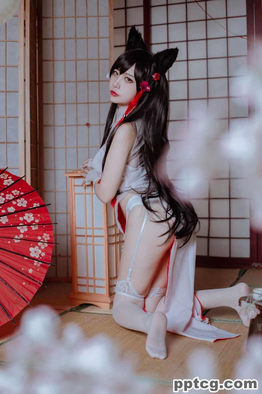 二佐Nisa   犬之眷 碧蓝航线 爱宕 旗袍