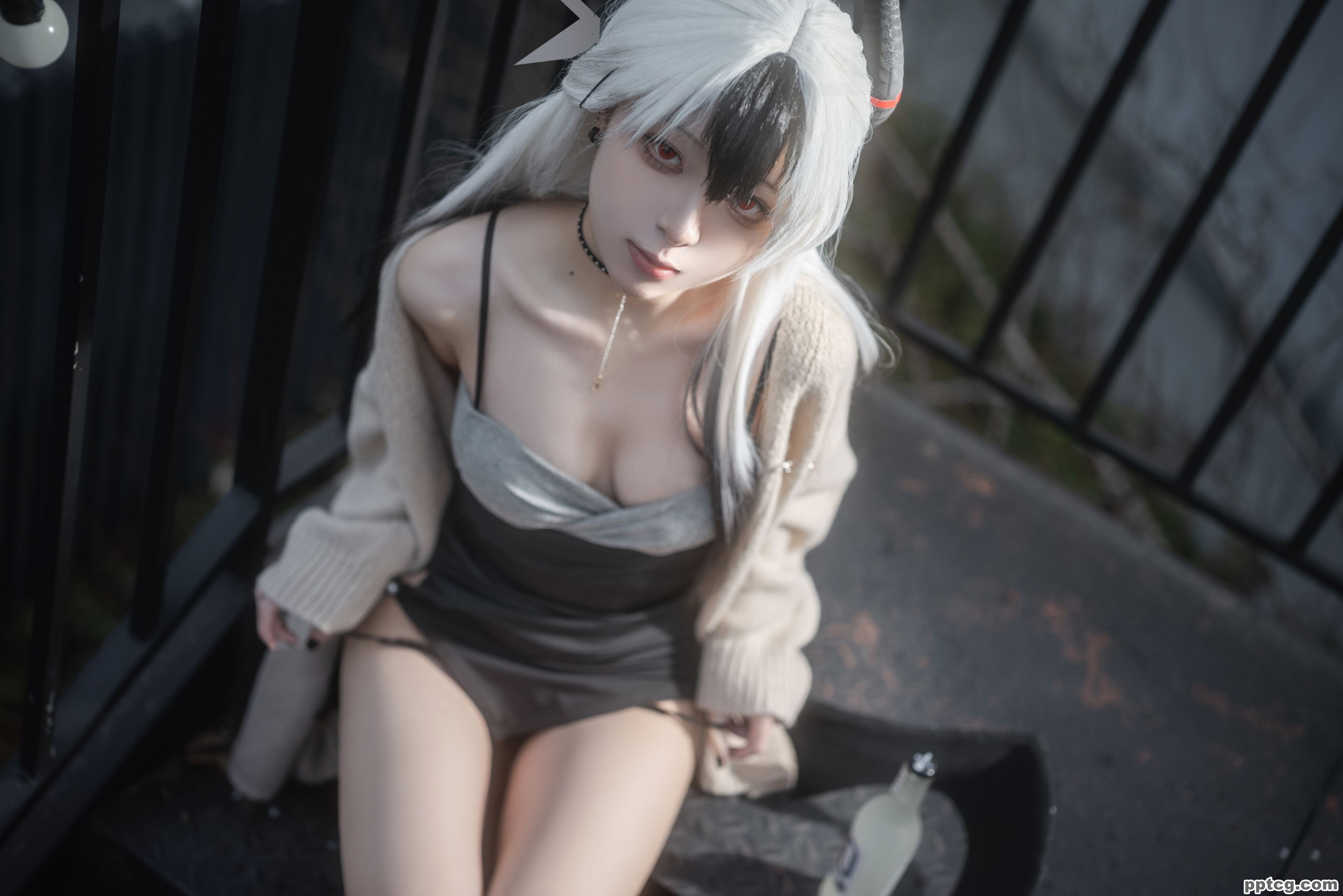 矢量鱼   礼服佳代子
