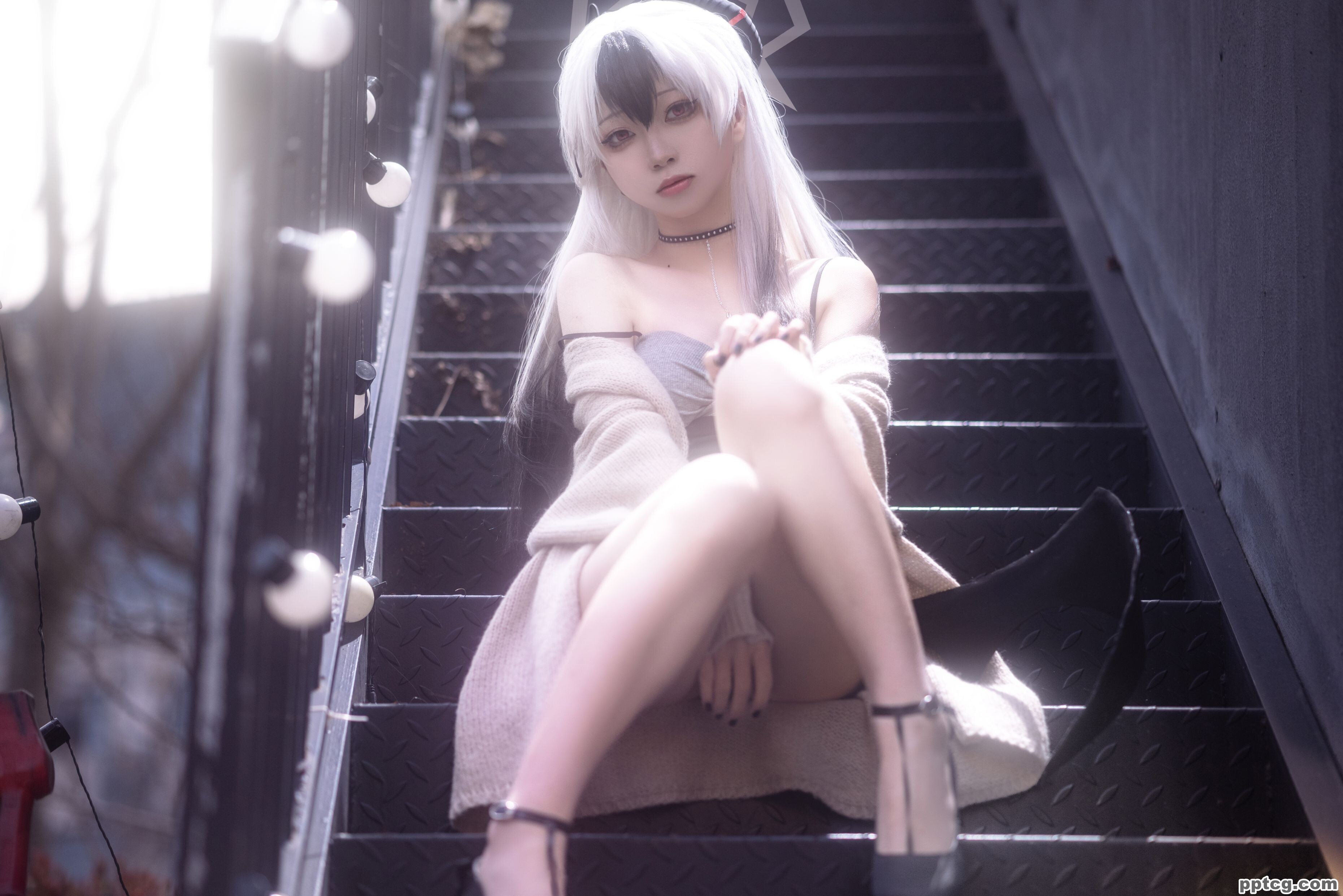 矢量鱼   礼服佳代子