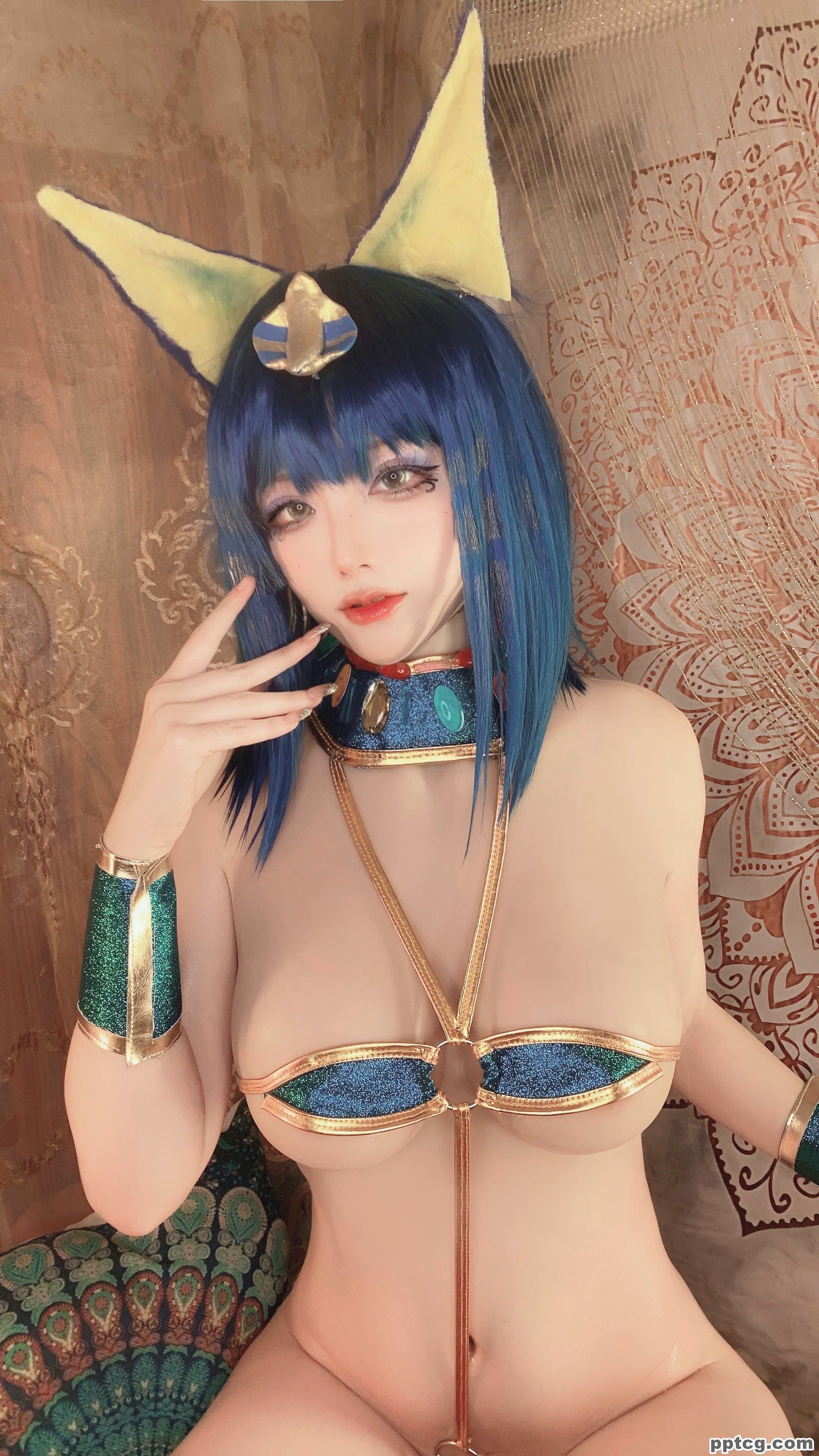 起司块  埃及猫  三套