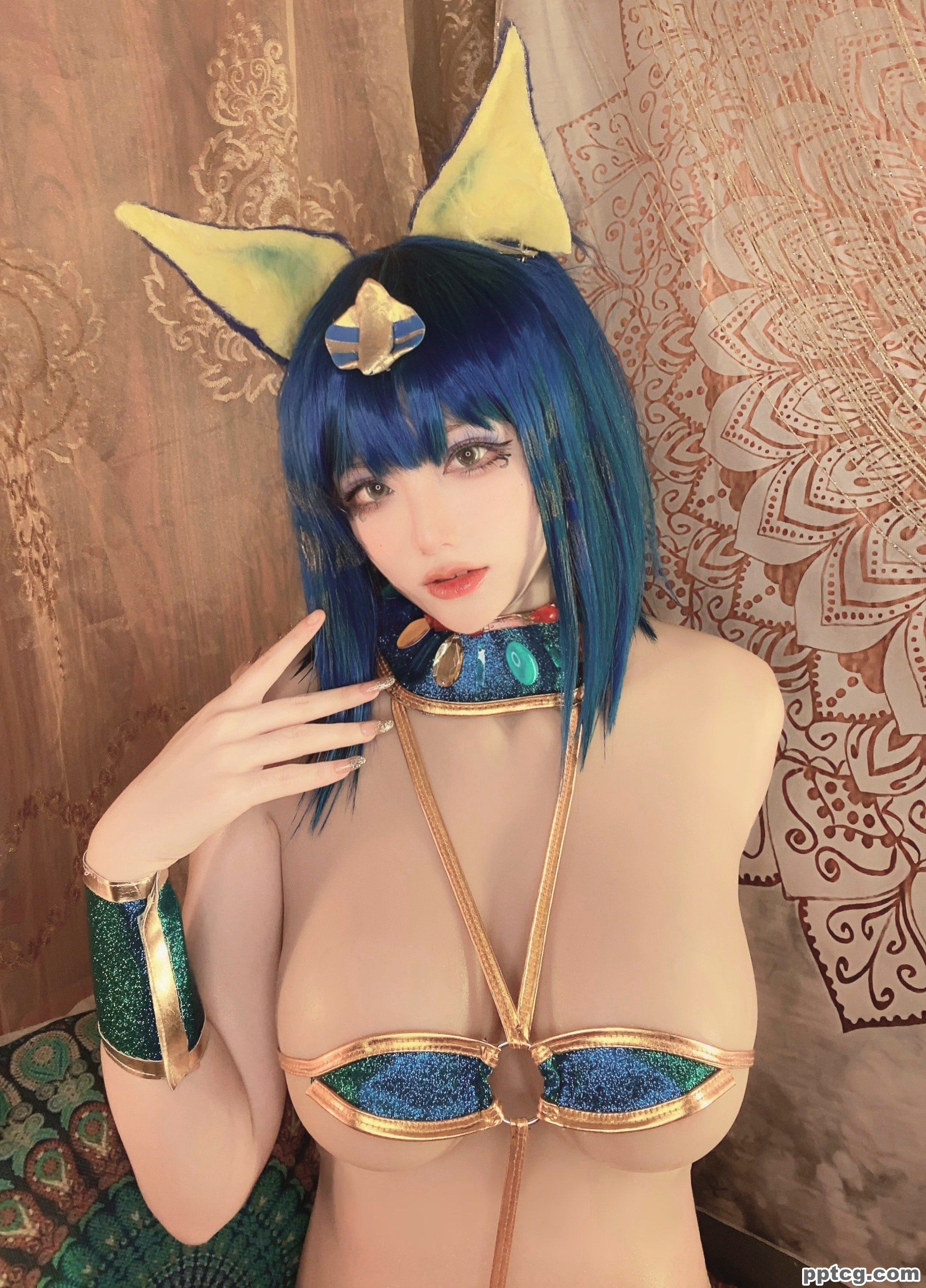 起司块  埃及猫  三套