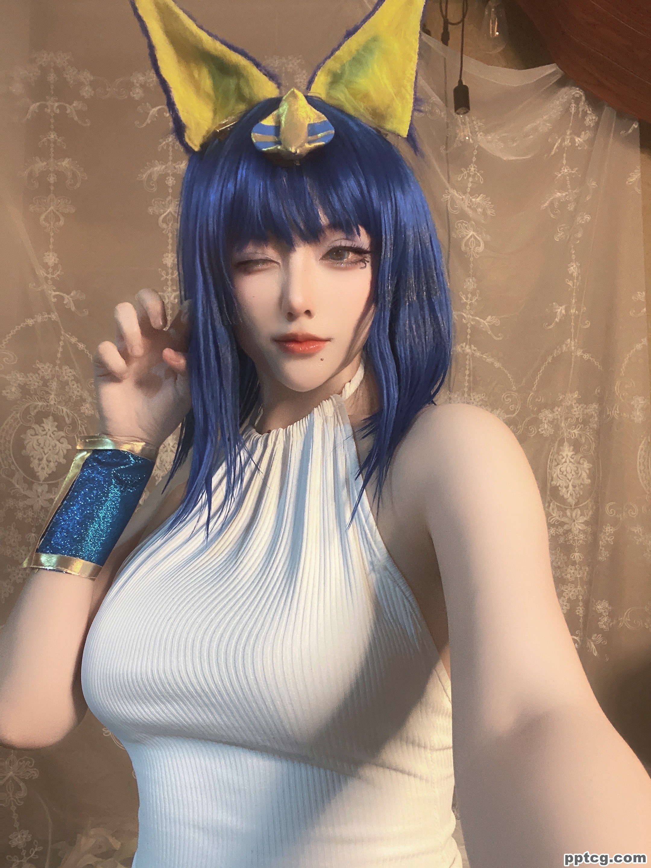 起司块  埃及猫  三套