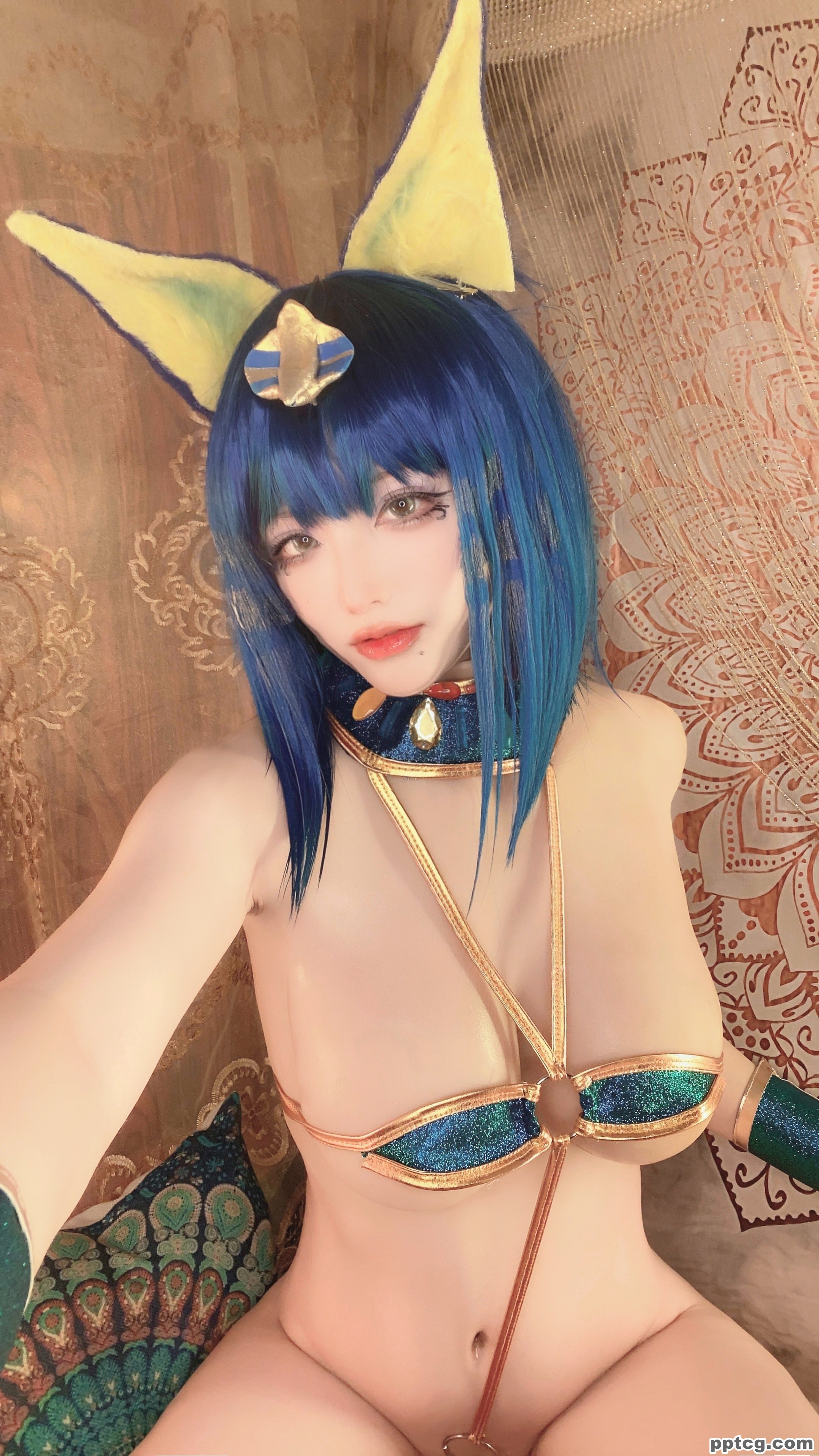 起司块  埃及猫  三套