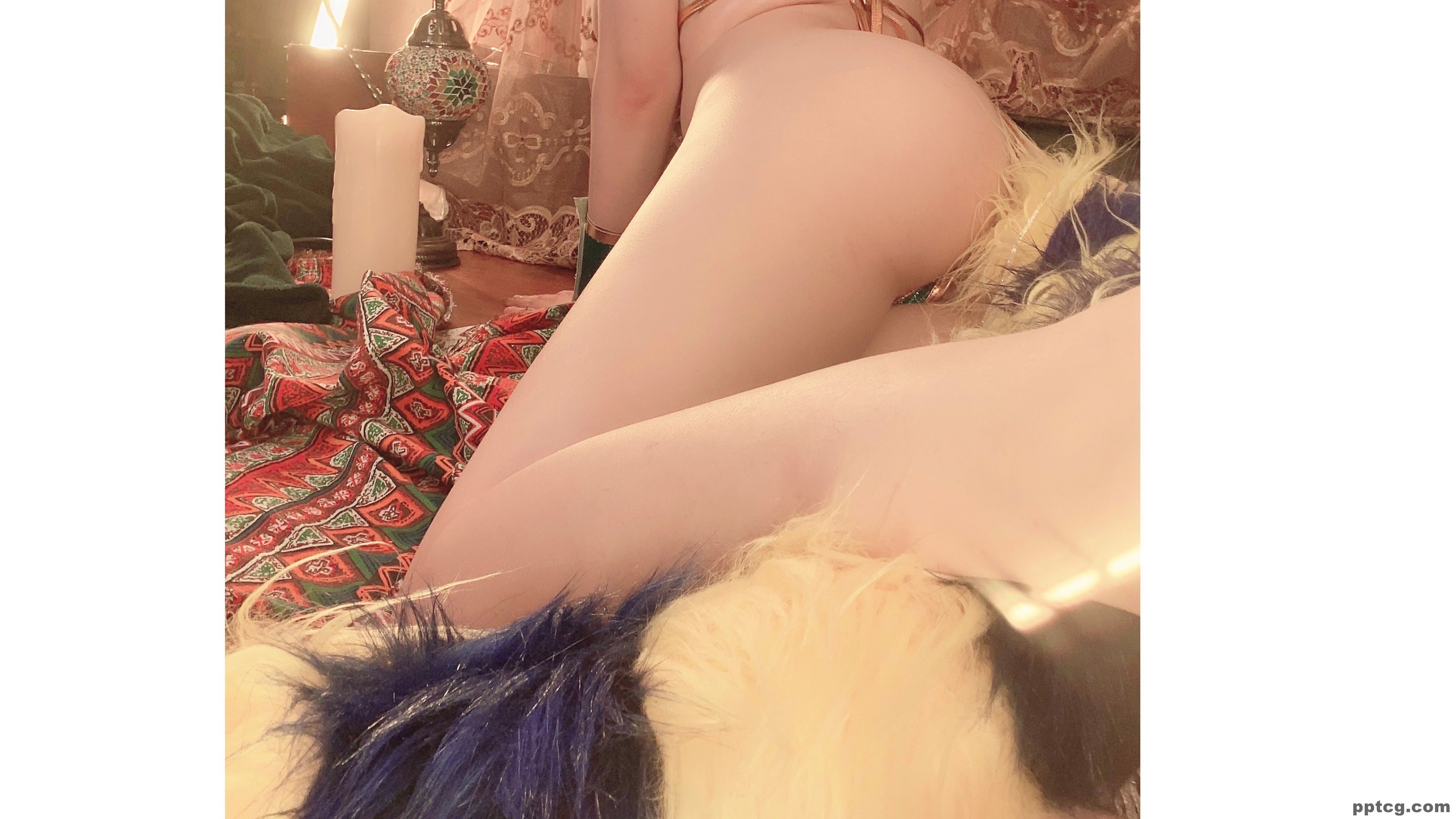 起司块  埃及猫  三套
