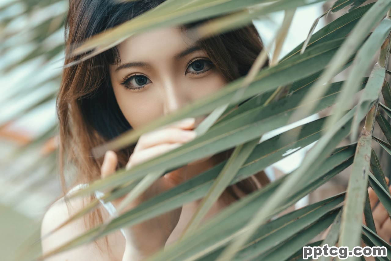 桃良阿宅  晨跑