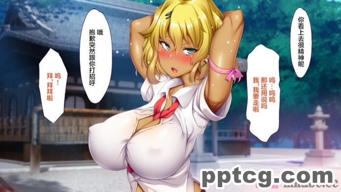 [ALLOWS] 超越戦姫プライムレンジャー[185P]