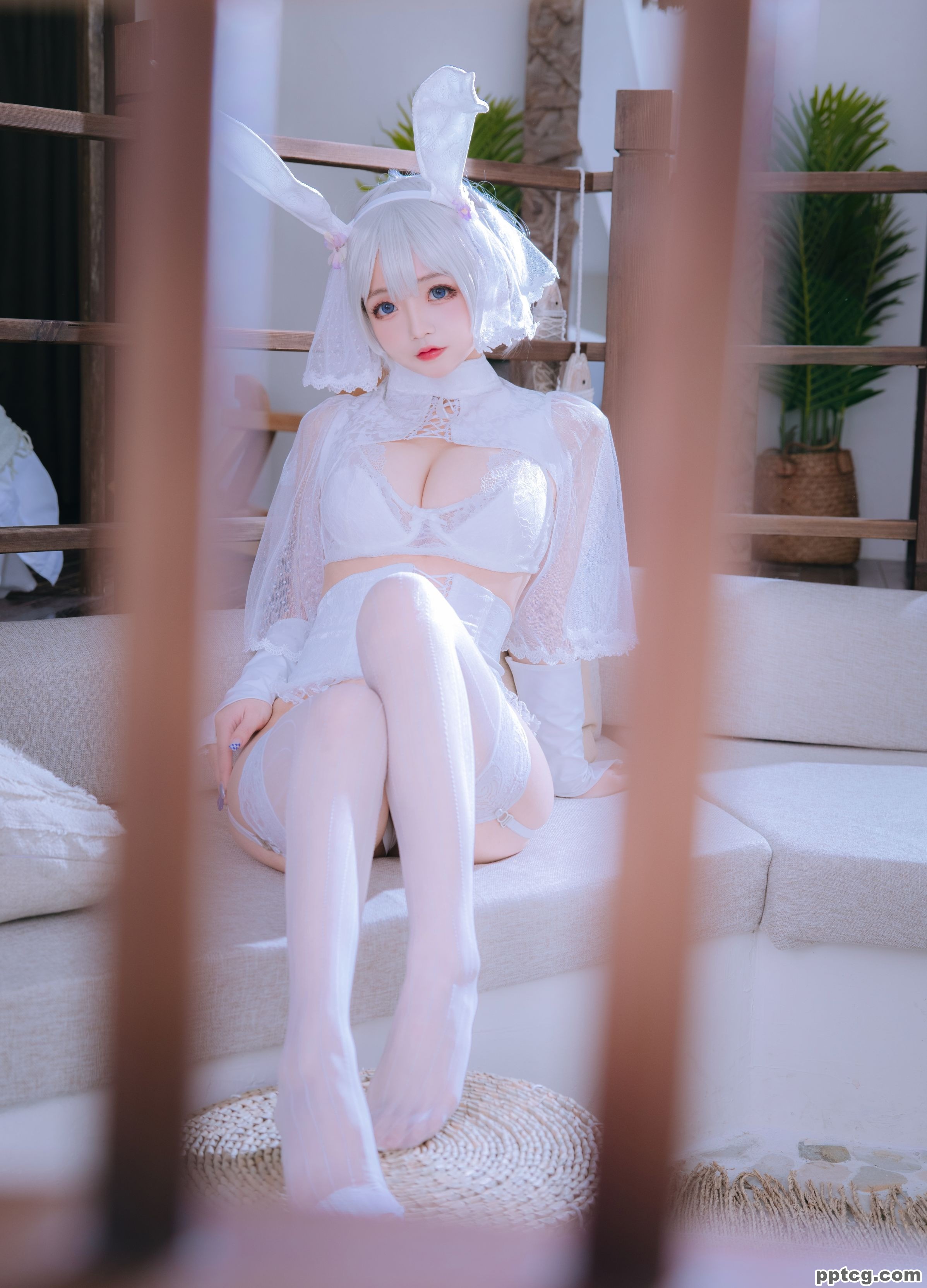 日奈娇  小白兔