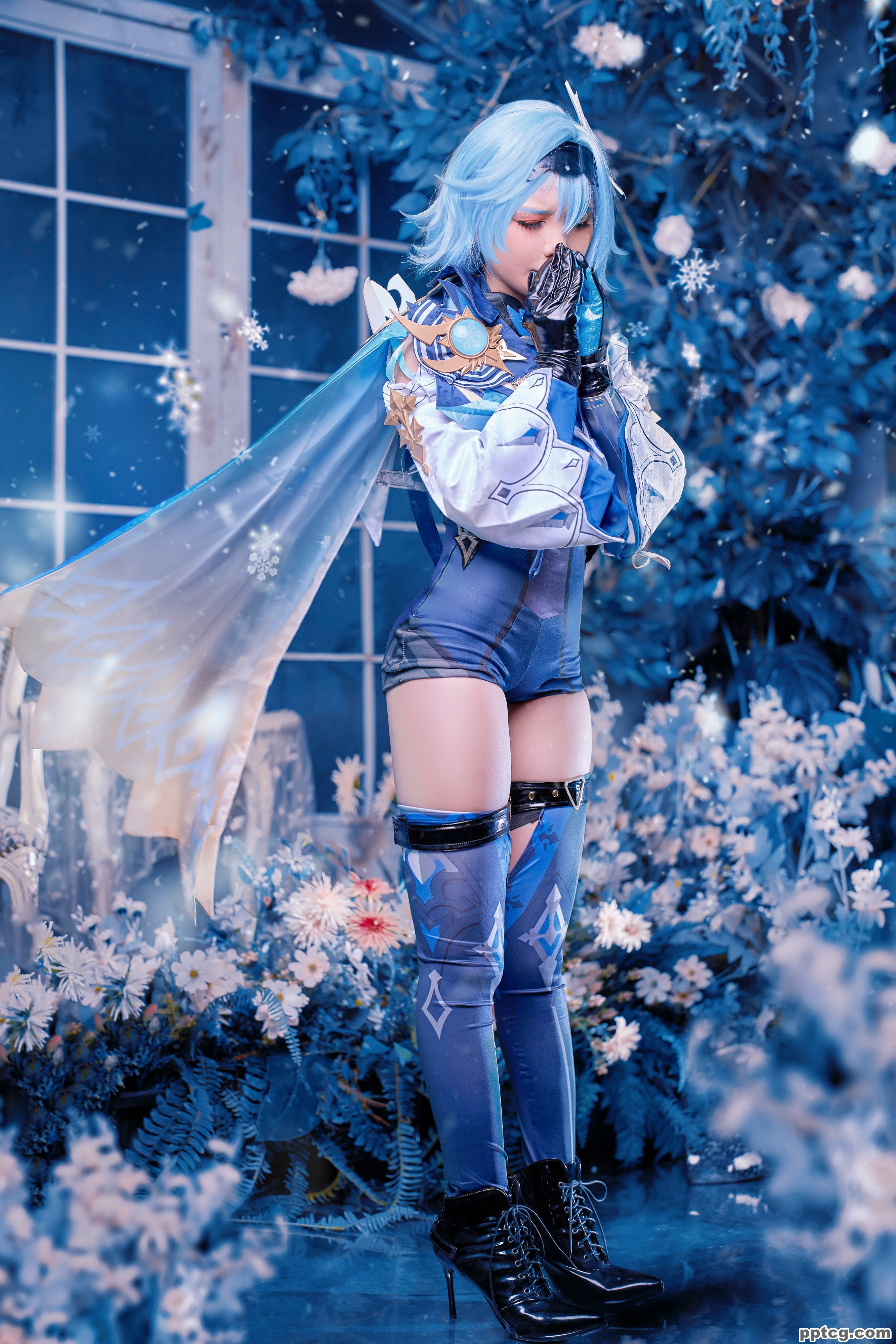 Joyce  原神优菈