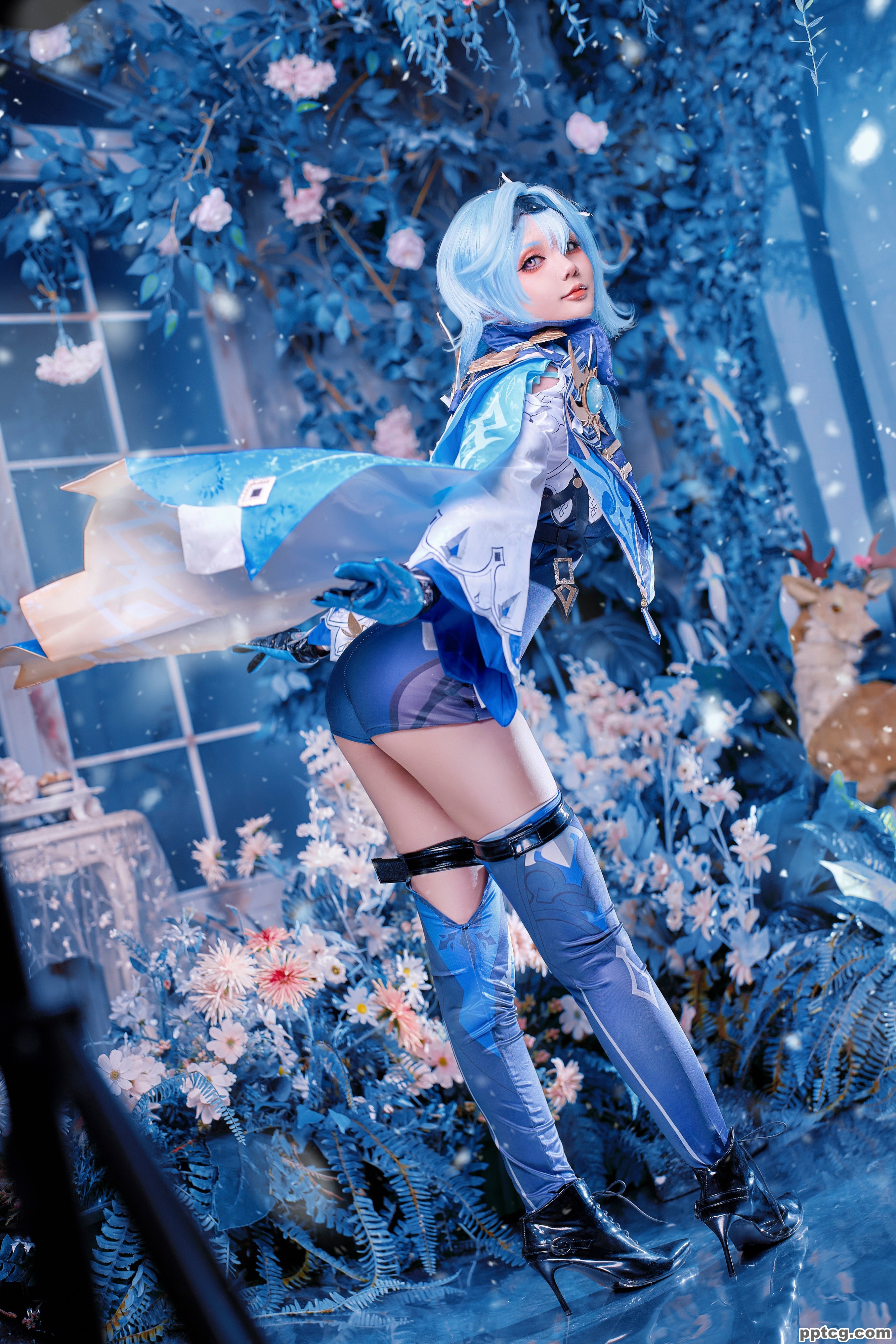 Joyce  原神优菈