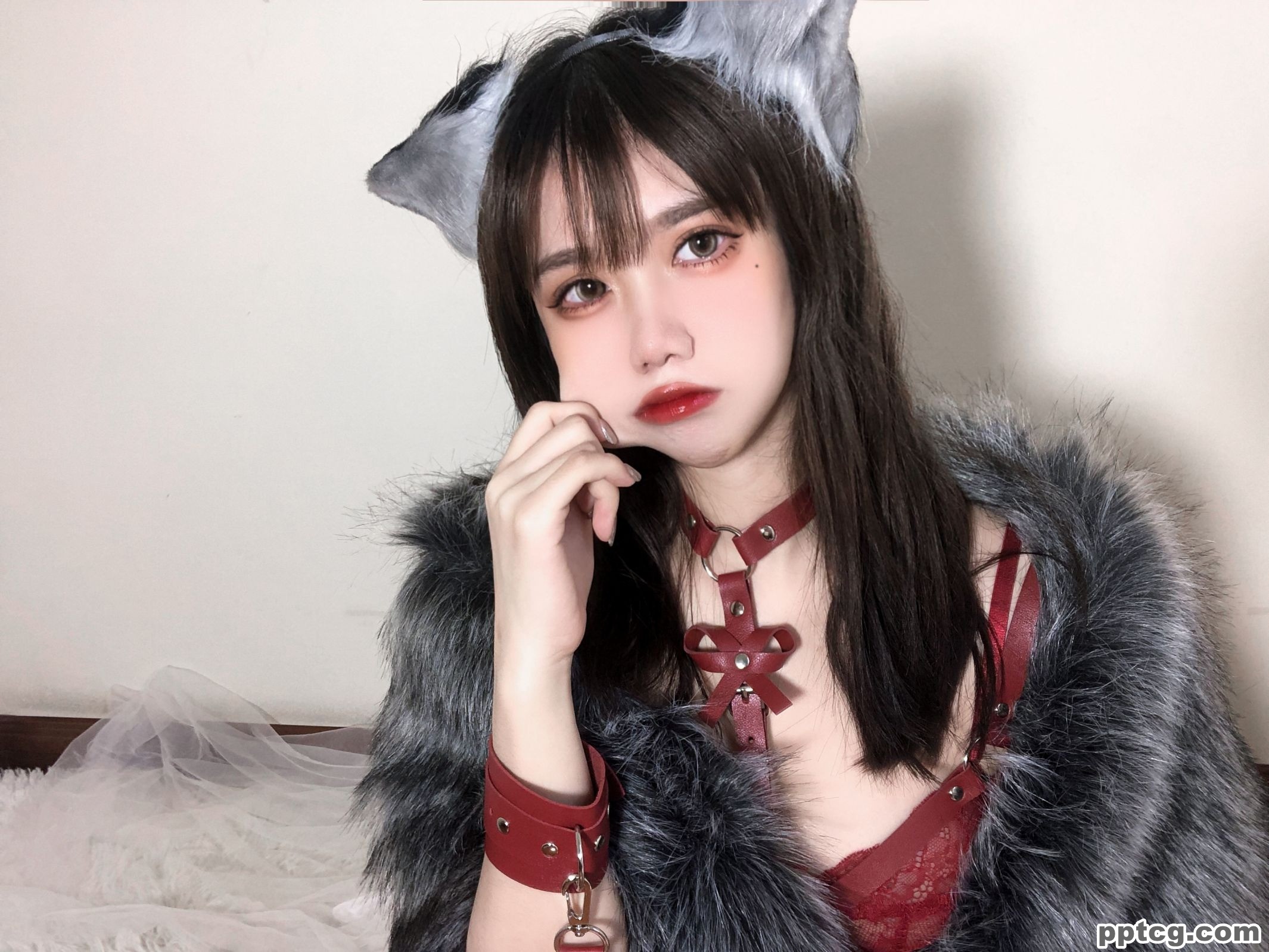 果咩酱w 红太狼