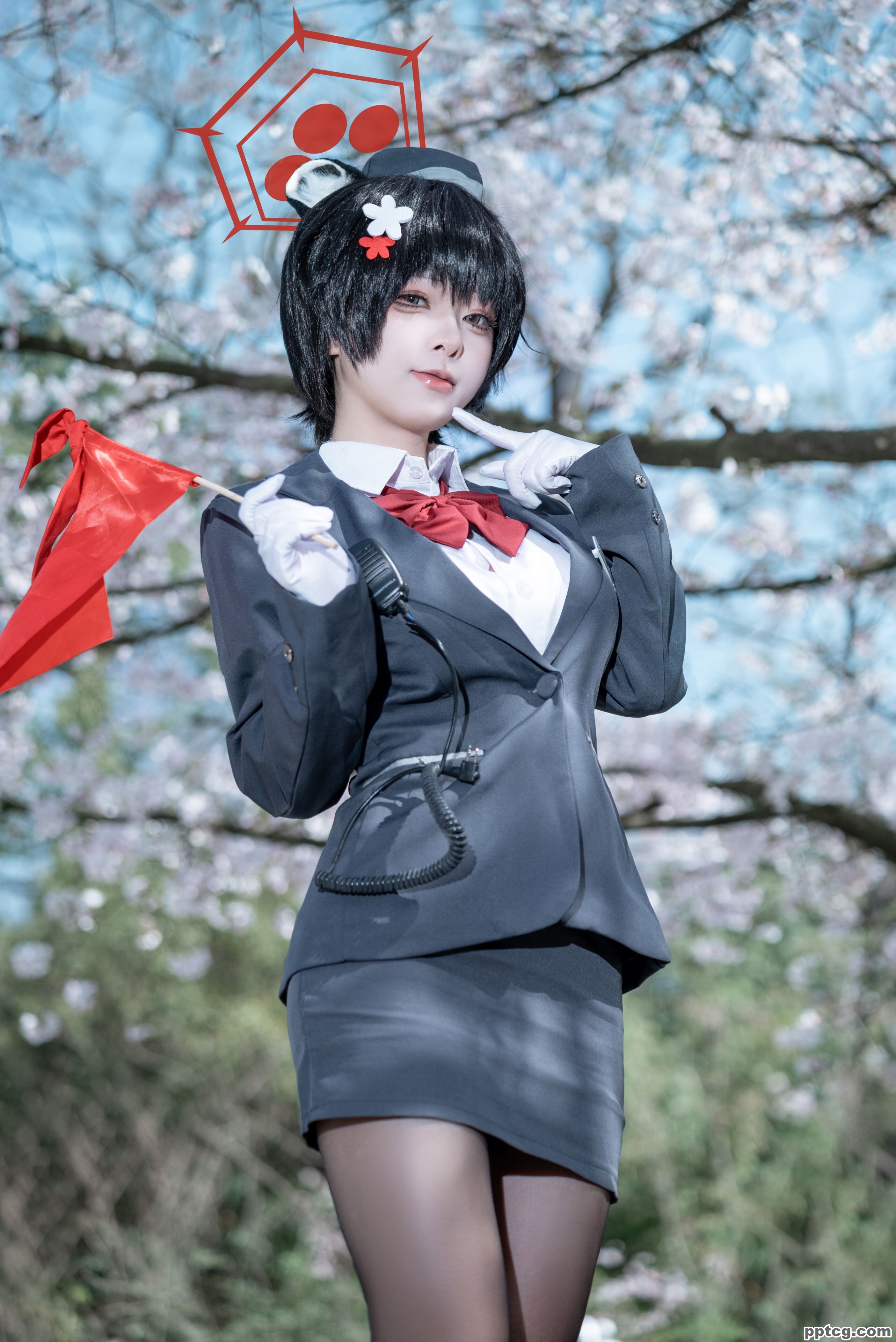 矢量鱼   椿导游