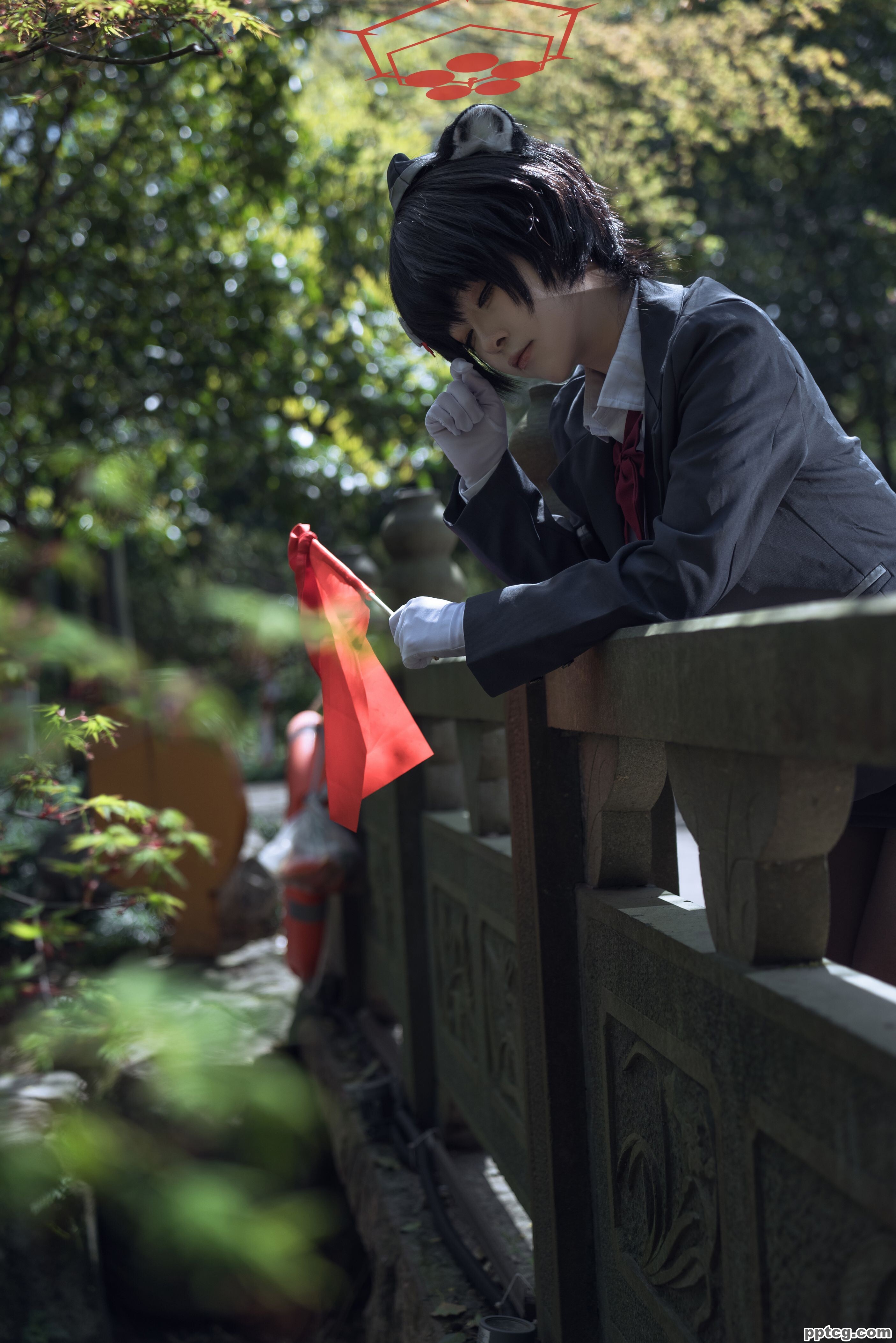 矢量鱼   椿导游