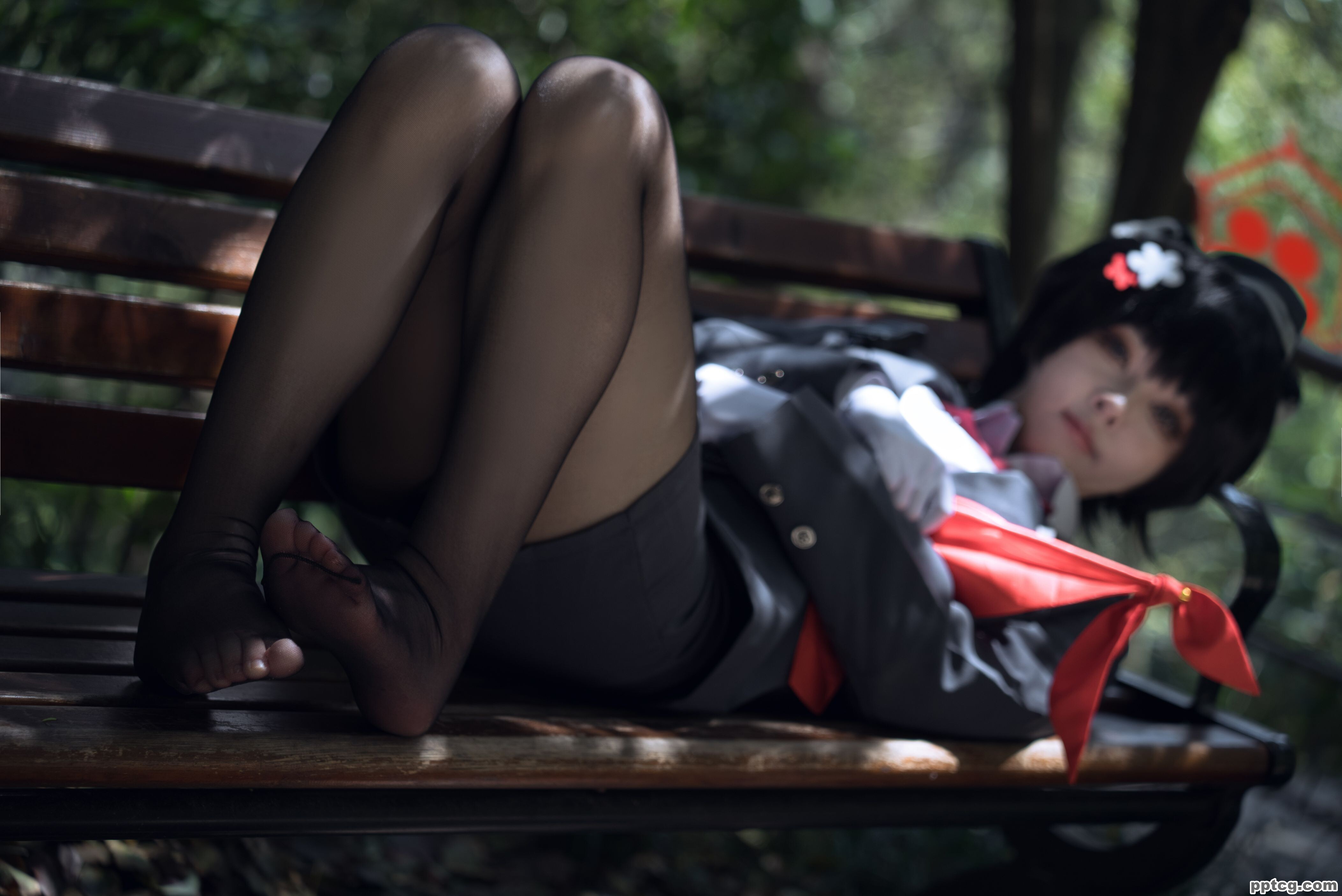 矢量鱼   椿导游