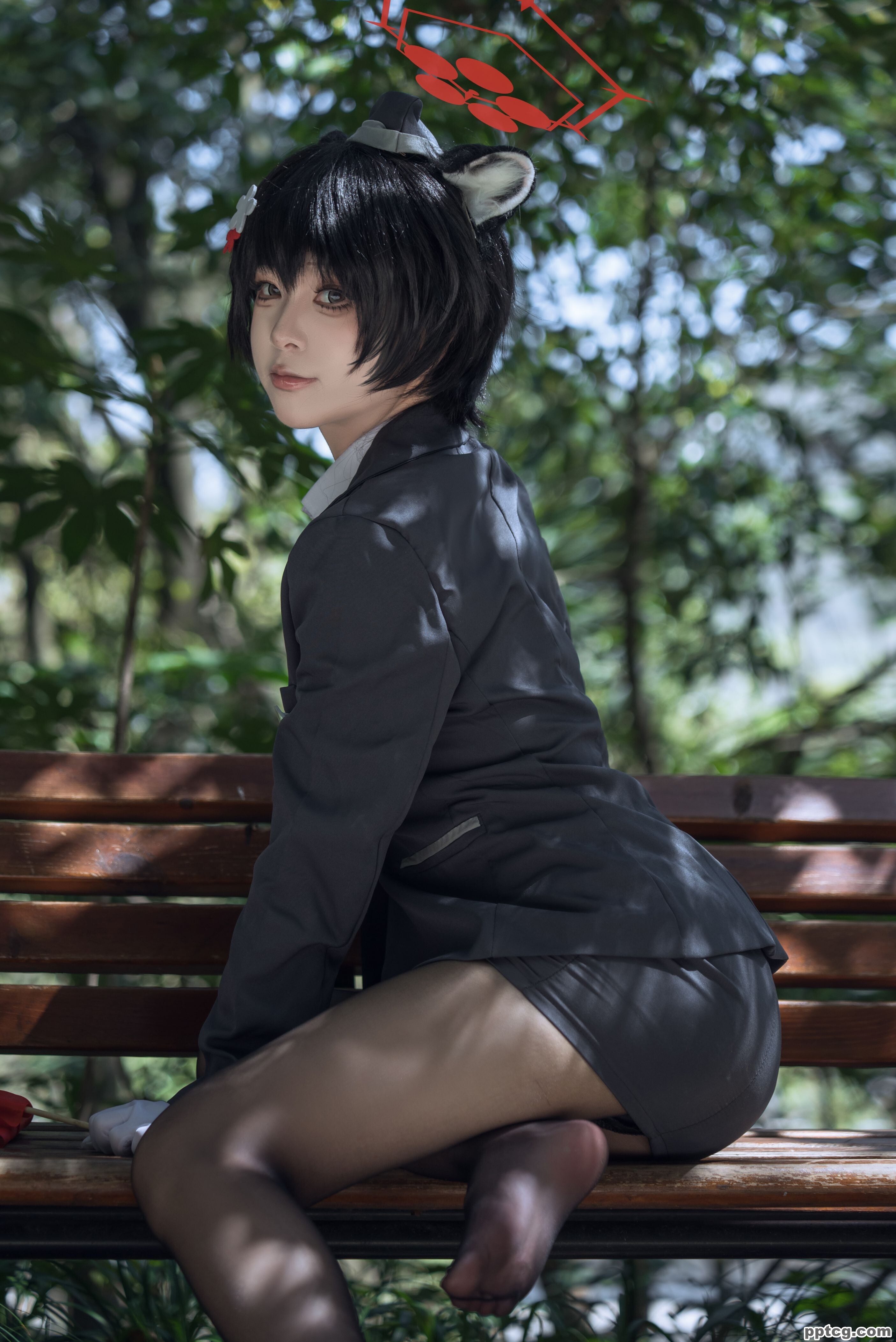 矢量鱼   椿导游