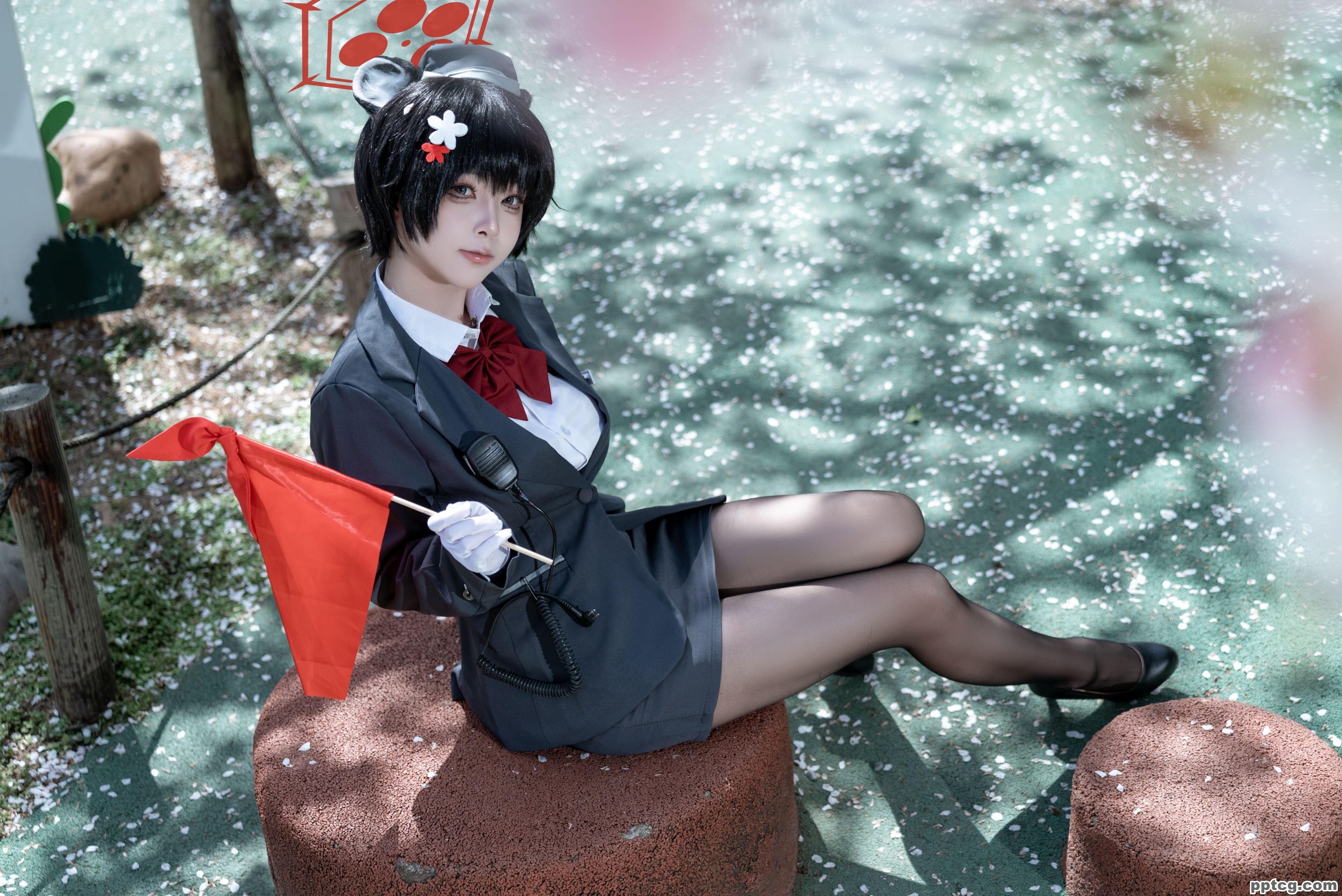 矢量鱼   椿导游