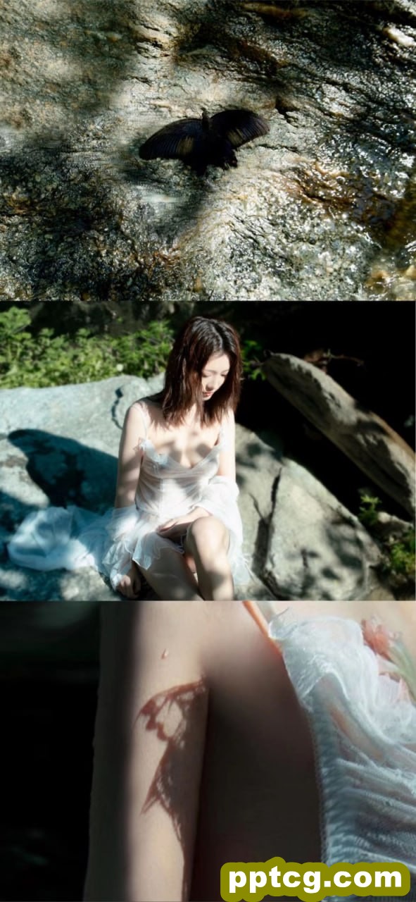 桃良阿宅   屿间