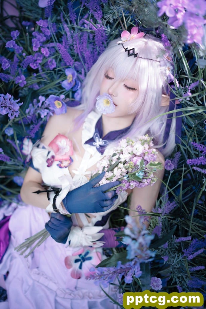 希望三连的大家遐蝶不歪