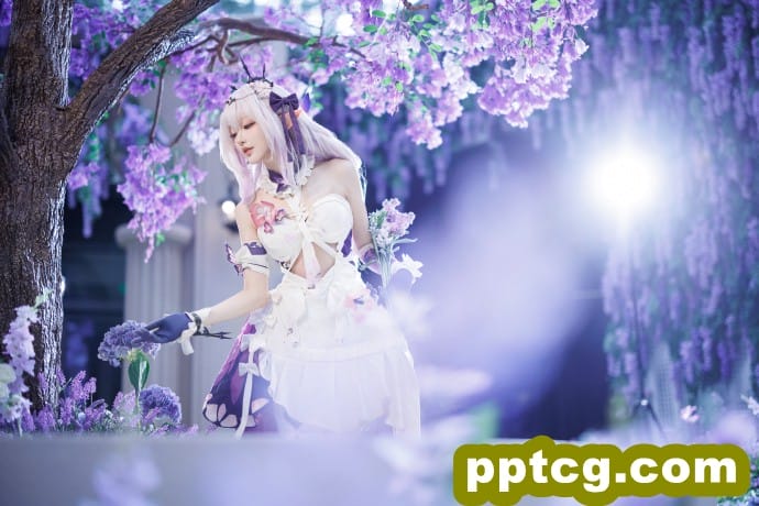 希望三连的大家遐蝶不歪