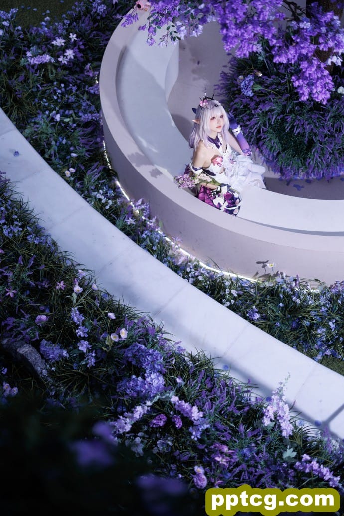 希望三连的大家遐蝶不歪